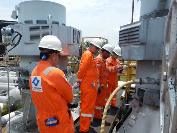 Image Engineering Service